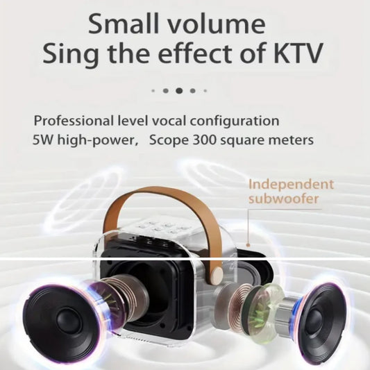 Portable Karaoke Machine with Dual Wireless Mics, LED Lights, & Mobile Speaker – Perfect for  Singing, Parties, Christmas & Ha