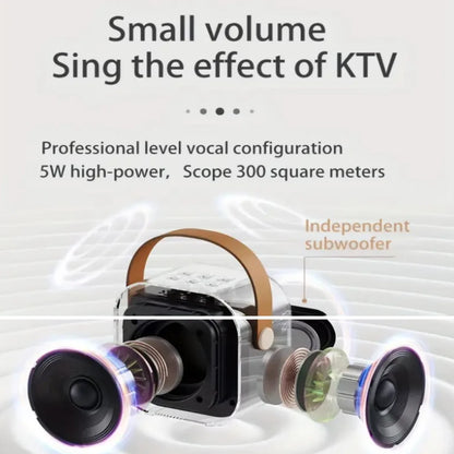 Portable Karaoke Machine with Wireless Mics, LED Lights, Built-in Speaker, Perfect for Parties & Family Gatherings, Multi-Color